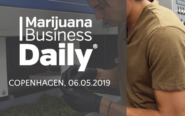 Stalam a MJBiz European Cannabis Symposium