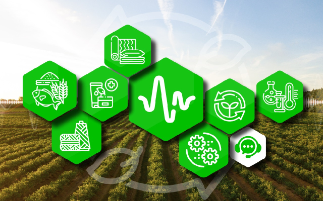 Stalam joins World Energy Efficiency Day