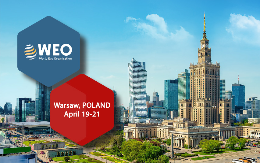 Stalam to participate in the WEO Business Conference Warsaw 2026